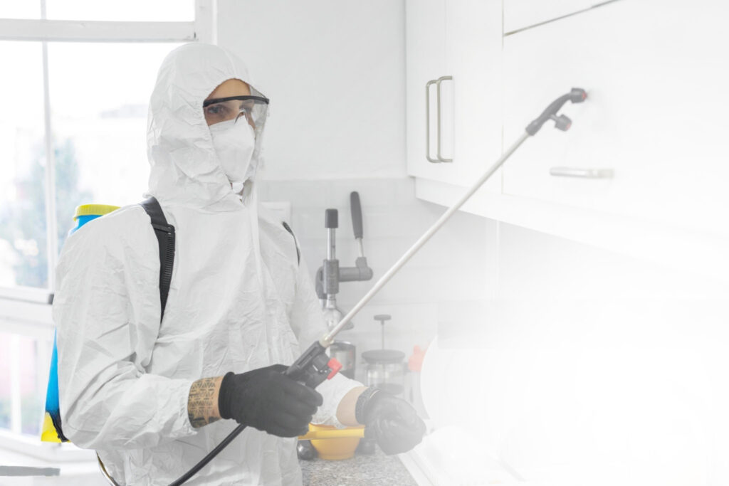 kammerjäger schädlingsbekämpfung schädlinge bekämpfen bielefeld owl notdienst notfall insekten bienen wespen entfernen